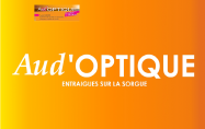 logo aud otique